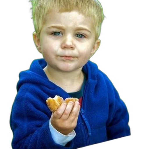food, face, creature, animal, photorealistic, oil painting, 3d render, watercolor transparent PNG cut-out