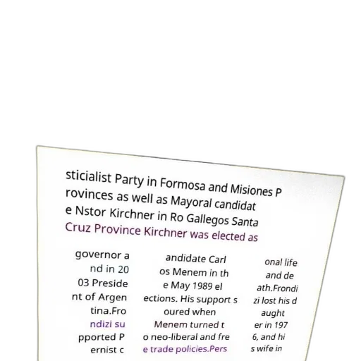 poster, text, spanish, about, political, career, néstor, kirchner transparent PNG cut-out