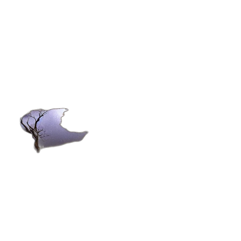 umbrella, hat, shoes, weapon transparent PNG cut-out
