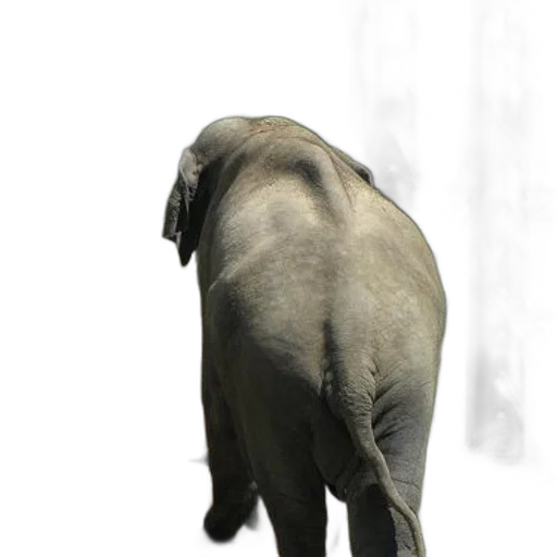 animal, creature, staff, hat, photorealistic, 3d render, concept art, large transparent PNG cut-out