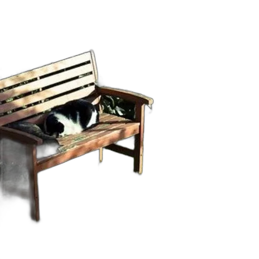 furniture, 3d render, photorealistic, concept art, black, white, cat, lounges transparent PNG cut-out