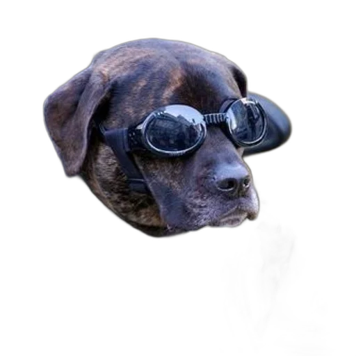 animal, staff, creature, face, photorealistic, 3d render, cyberpunk, concept art transparent PNG cut-out