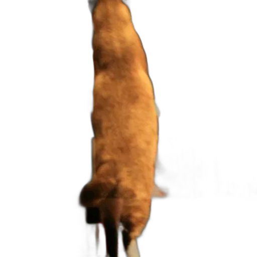 animal, staff, creature, umbrella, concept art, 3d render, photorealistic, cat transparent PNG cut-out