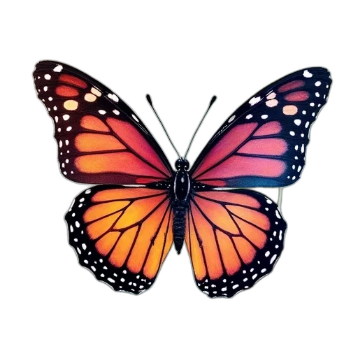animal, creature, jewelry, crown transparent PNG cut-out