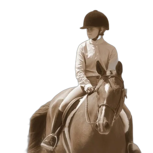 hat, animal, staff, crown, photorealistic, oil painting, concept art, pencil sketch transparent PNG cut-out