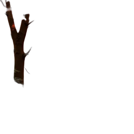 tree, staff, weapon, creature transparent PNG cut-out