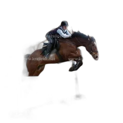 animal, creature, photorealistic, oil painting, fantasy art, concept art, rider, brown transparent PNG cut-out
