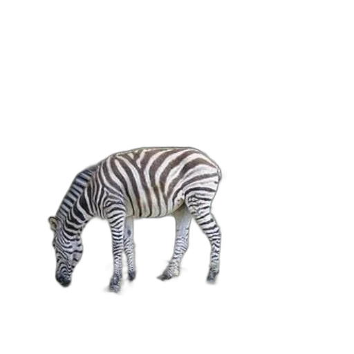 animal, creature, furniture, hat, 3d render, concept art, photorealistic, watercolor transparent PNG cut-out