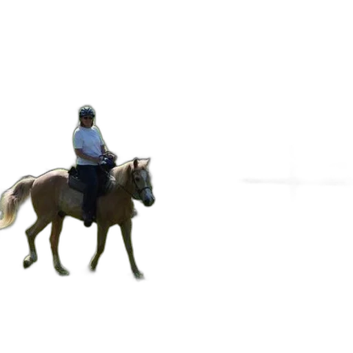 animal, creature, staff, jacket, concept art, 3d render, photorealistic, pixel art transparent PNG cut-out