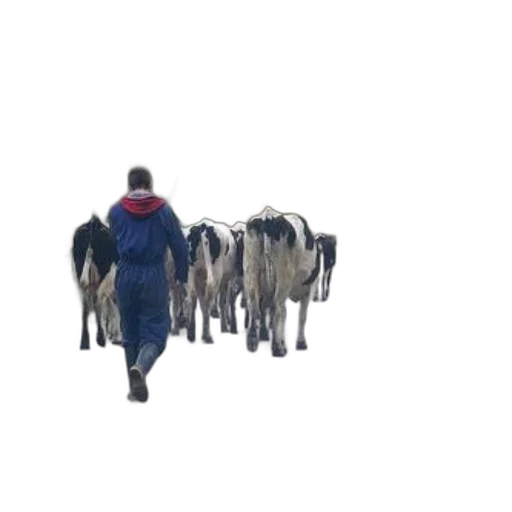 animal, jacket, robot, staff, concept art, 3d render, snow, fog transparent PNG cut-out