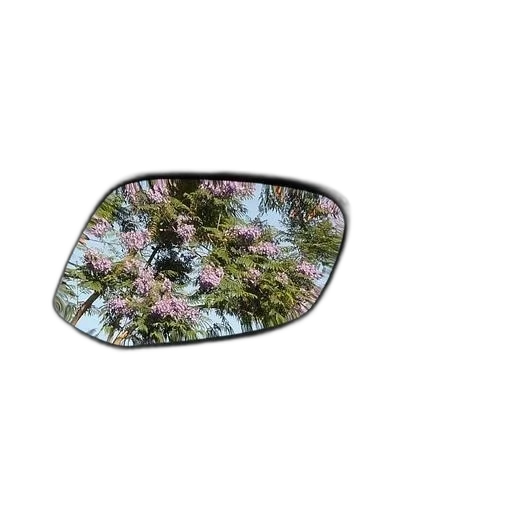 tree, car, face, flower, photorealistic, 3d render, forest, motorcycle transparent PNG cut-out
