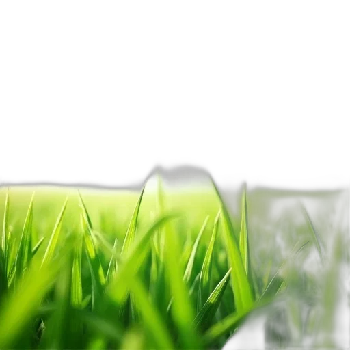 bottle, food, 3d render, photorealistic, green, close-up, view, grassy transparent PNG cut-out