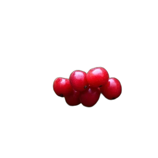 crown, food, jewelry, flower, 3d render, photorealistic, pixel art, concept art transparent PNG cut-out