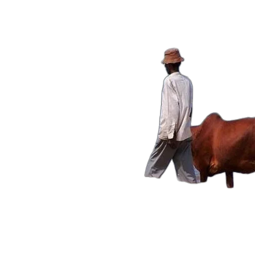 animal, hat, creature, umbrella, photorealistic, 3d render, concept art, oil painting transparent PNG cut-out