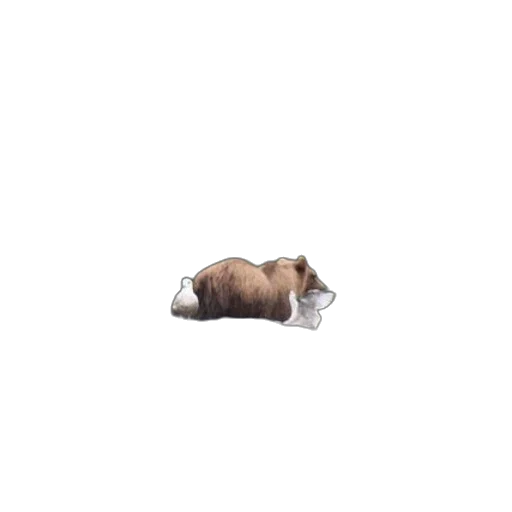 animal, creature, food, bottle, pixel art, concept art, 3d render, photorealistic transparent PNG cut-out