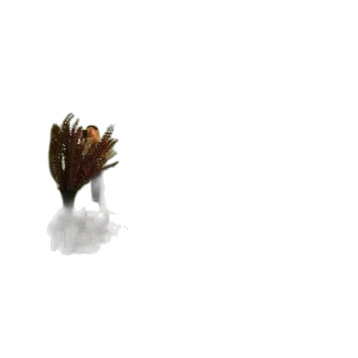 flower, hair, creature, crown, 3d render, concept art, pixel art, photorealistic transparent PNG cut-out