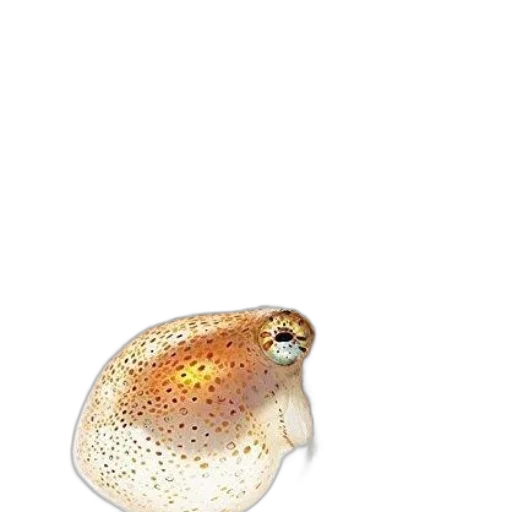 jewelry, hat, animal, creature, photorealistic, watercolor, 3d render, concept art transparent PNG cut-out