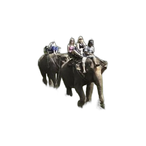 animal, concept art, 3d render, people transparent PNG cut-out