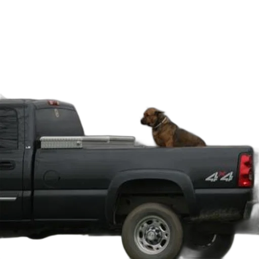 animal, car, dog, sits, back, black, pickup, truck transparent PNG cut-out
