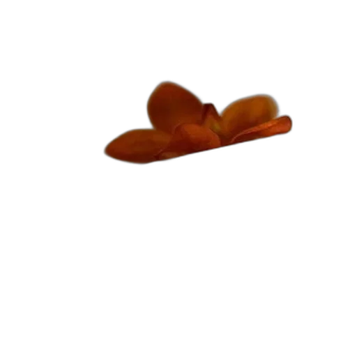 food, crown, hat, flower, 3d render, photorealistic, concept art, neatly transparent PNG cut-out