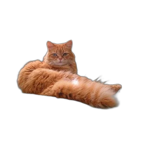 animal, creature, staff, furniture, photorealistic, 3d render, pixel art, fluffy transparent PNG cut-out