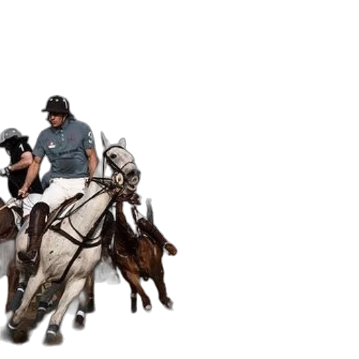 polo, player, white, horse, chases, red, ball, near transparent PNG cut-out