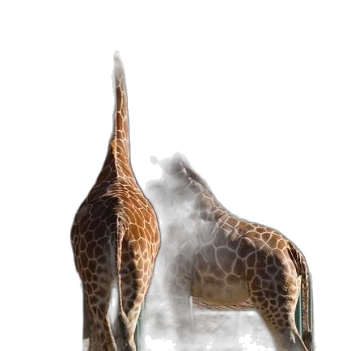animal, dragon, creature, staff, concept art, photorealistic, 3d render, fantasy art transparent PNG cut-out