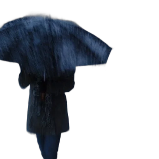 umbrella, jacket, dress, hat transparent PNG cut-out
