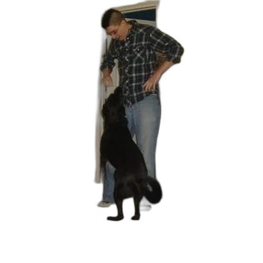 animal, staff, hat, creature, man, plaid, shirt, playing transparent PNG cut-out
