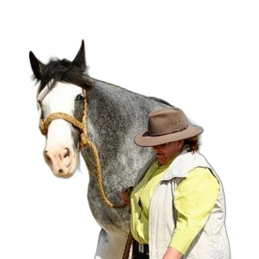 hat, jacket, animal, staff, photorealistic, concept art, 3d render, oil painting transparent PNG cut-out