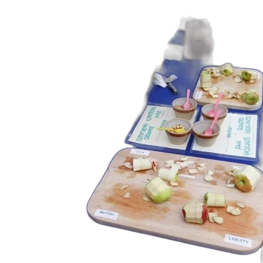 food, table, apples, various, items transparent PNG cut-out