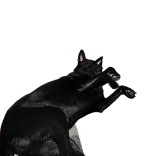 animal, staff, creature, weapon, photorealistic, concept art, 3d render, black transparent PNG cut-out