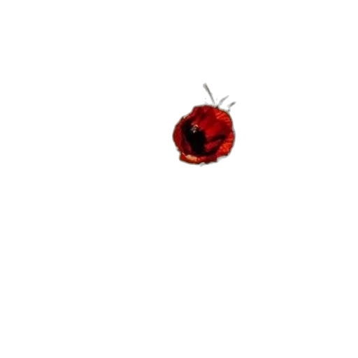 flower, jewelry, crown, hat, pixel art, photorealistic, 3d render, concept art transparent PNG cut-out