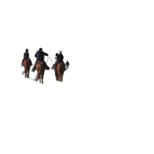 staff, hat, animal, weapon transparent PNG cut-out