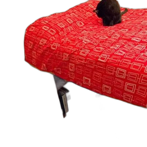 hat, furniture, umbrella, shoes, 3d render, red, black, cat transparent PNG cut-out