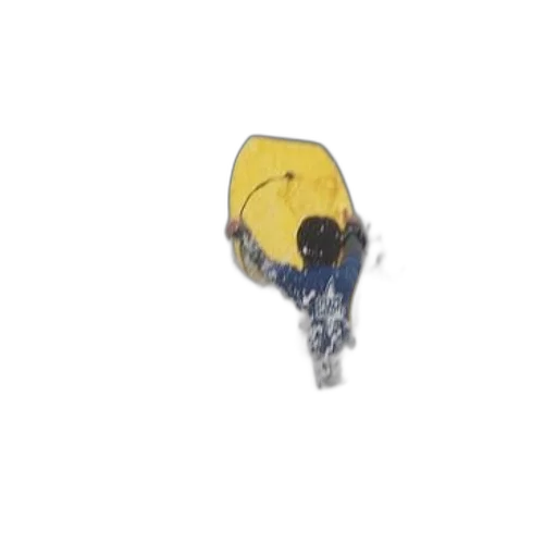 jewelry, umbrella, staff, jacket transparent PNG cut-out
