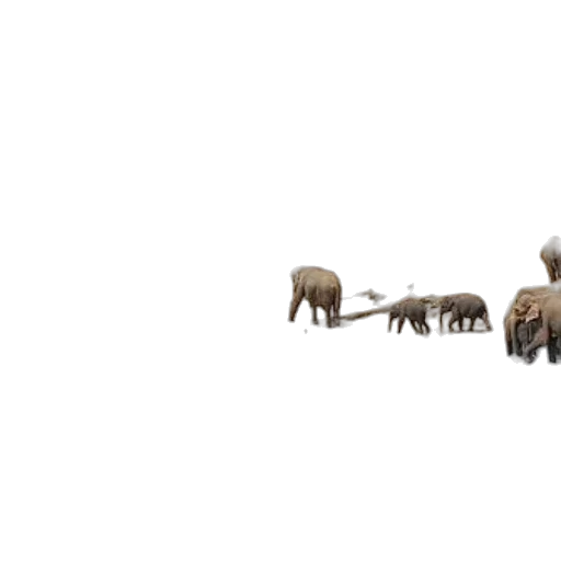 animal, creature, furniture, weapon, concept art, 3d render, pixel art, photorealistic transparent PNG cut-out