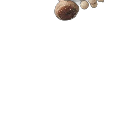 food, jewelry, furniture, weapon, 3d render, photorealistic, pixel art, concept art transparent PNG cut-out