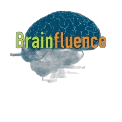 brainfluence, 100, ways, persuade, convince, consumers, neuromarketing, book transparent PNG cut-out