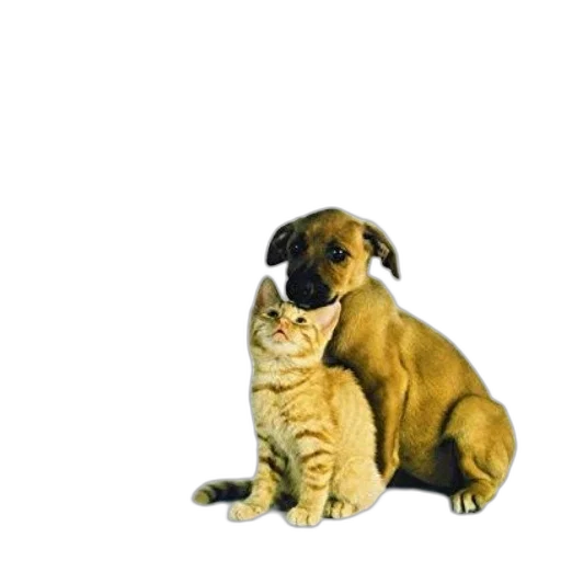 animal, staff, creature, food, photorealistic, oil painting, pixel art, 3d render transparent PNG cut-out