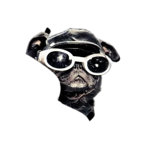 mask, staff, face, animal, concept art, comic book art, photorealistic, 3d render transparent PNG cut-out