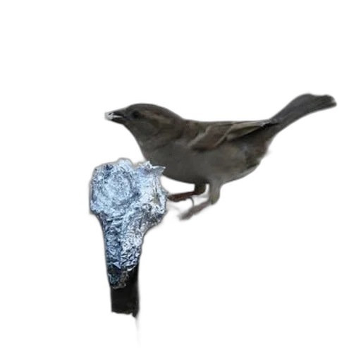umbrella, hat, staff, mask, 3d render, concept art, photorealistic, dark transparent PNG cut-out