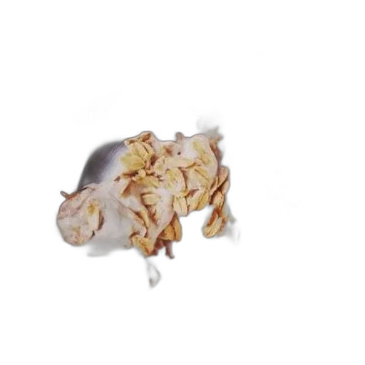 food, jewelry, animal, dragon, 3d render, photorealistic, concept art, pixel art transparent PNG cut-out