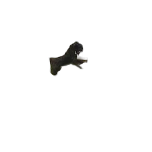 animal, creature, shoes, staff, 3d render, pixel art, photorealistic, concept art transparent PNG cut-out