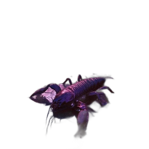 creature, animal, dragon, weapon, concept art, pixel art, 3d render, watercolor transparent PNG cut-out