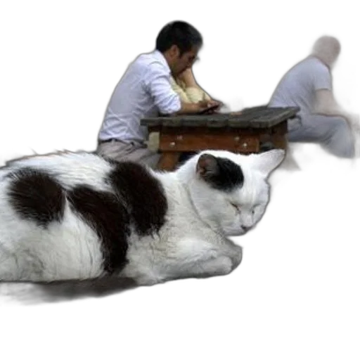furniture, animal, staff, creature, photorealistic, concept art, 3d render, oil painting transparent PNG cut-out