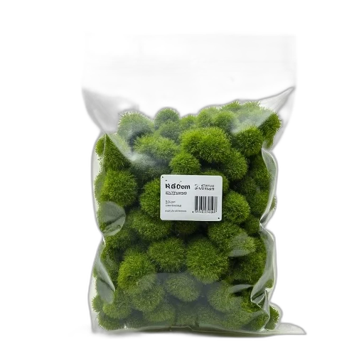 food, green, bag, moss, displayed, against, white, background transparent PNG cut-out