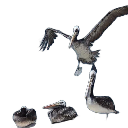 shoes, animal, creature, dragon, 3d render, concept art, photorealistic, pelican transparent PNG cut-out