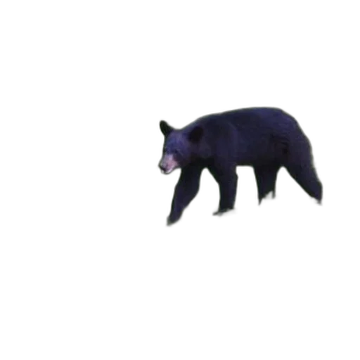 animal, creature, dragon, mask, 3d render, concept art, pixel art, photorealistic transparent PNG cut-out