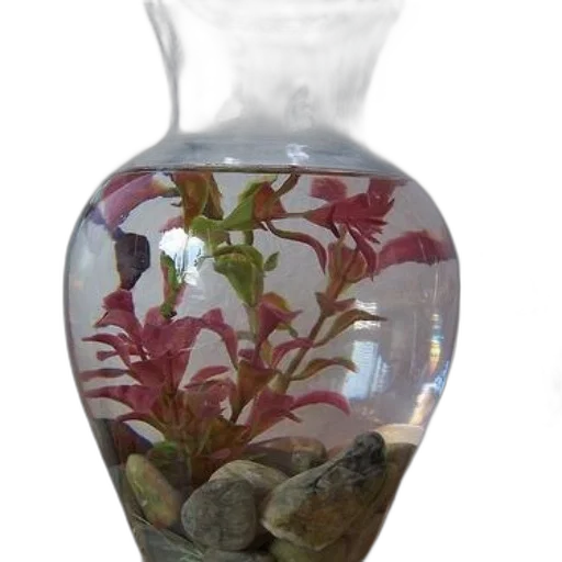 bottle, jewelry, crown, photorealistic, 3d render, oil painting, concept art, underwater transparent PNG cut-out